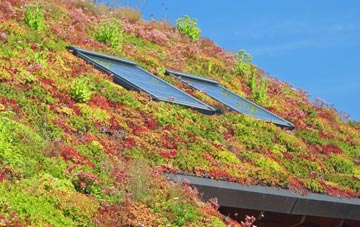 Harthill living roof systems